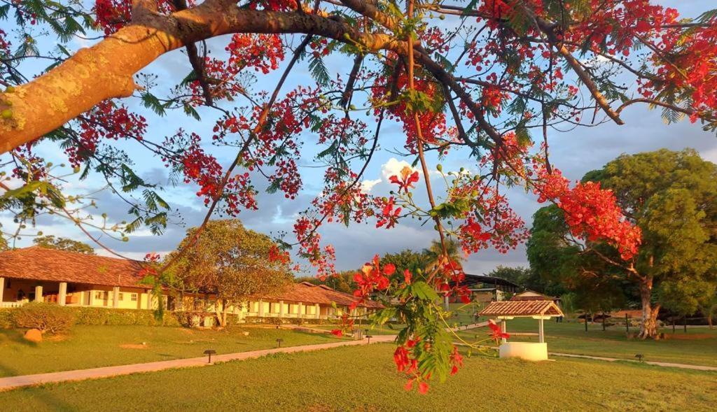 Sertao Veredas Hotel Fazenda Paraopeba エクステリア 写真